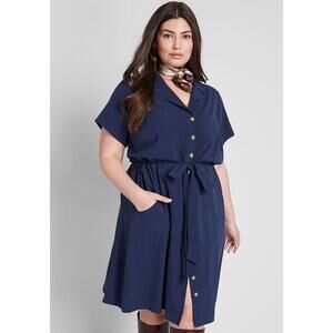 Modcloth Navy Button-Down Dress